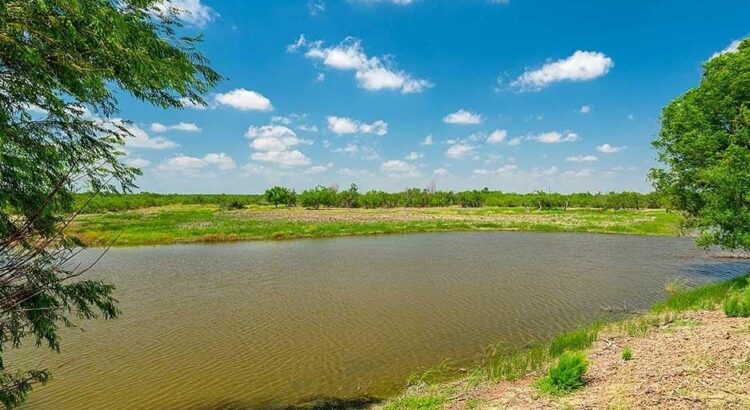 Land for sale maverick county texas