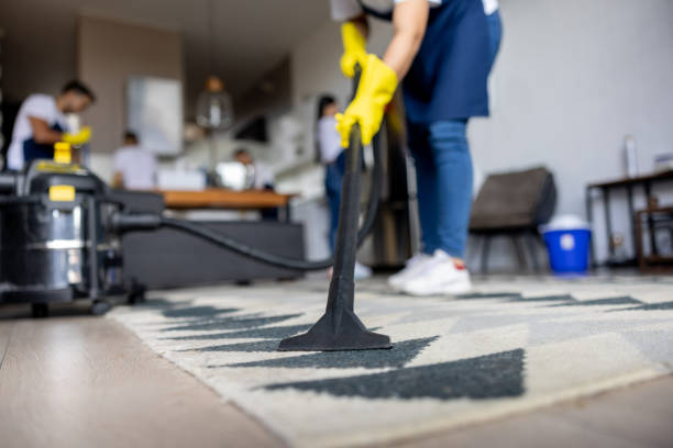 Professional House Cleaning Services in North York